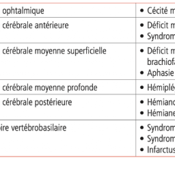 Territoires artériels cérébraux